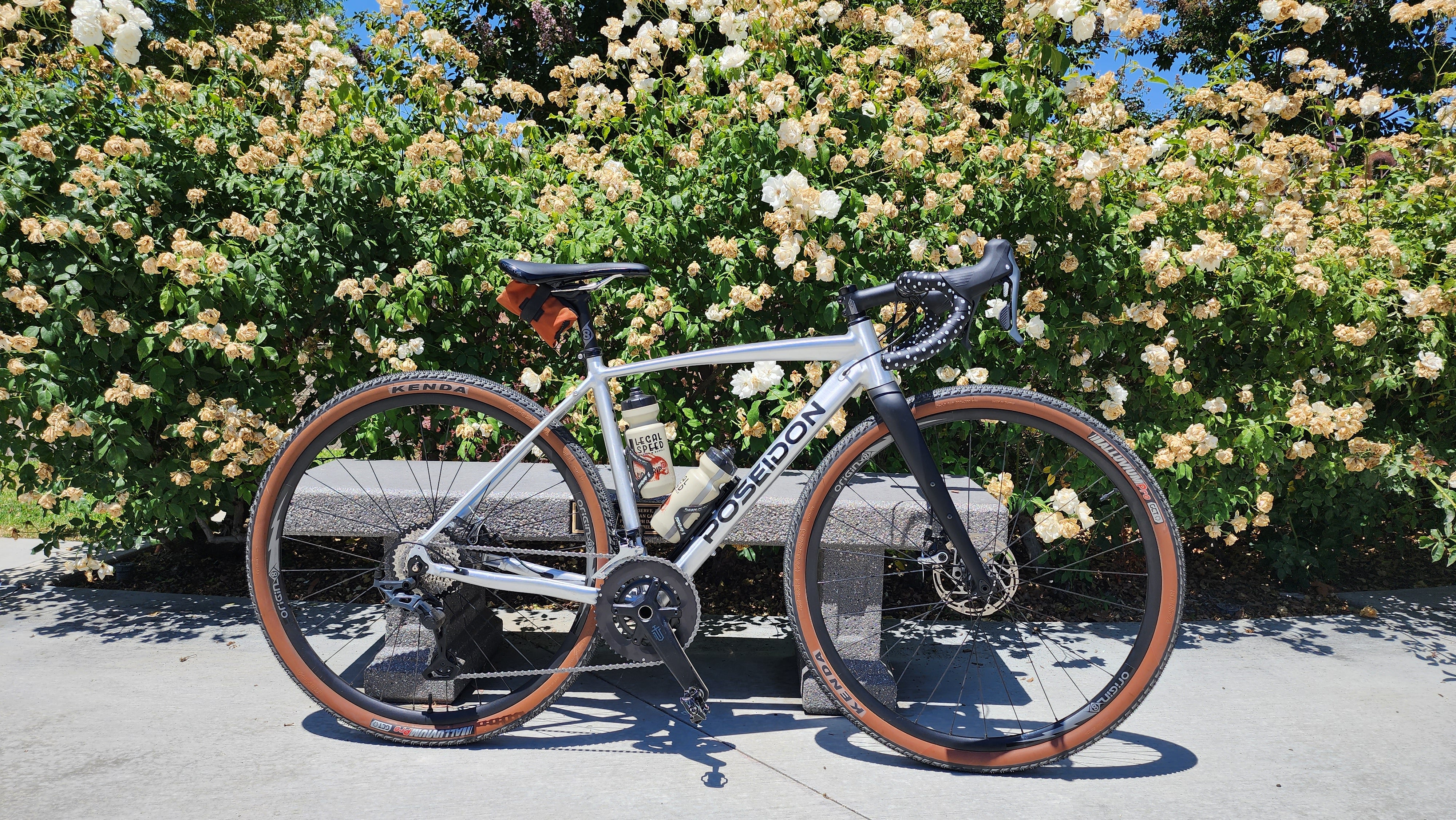 Kenda Alluvium Pro Tire - Image 2